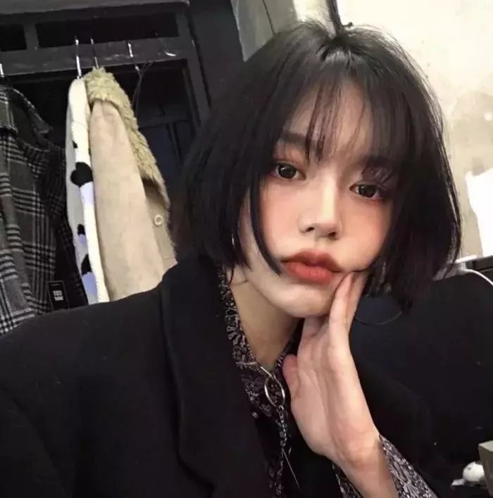 历史的总和